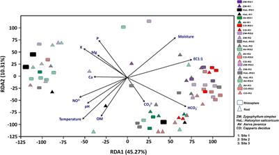 Comparative Study of the Rhizosphere and Root Endosphere Microbiomes of Cholistan Desert Plants